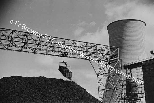 E.S.B. TURF PRODUCTION PLANT